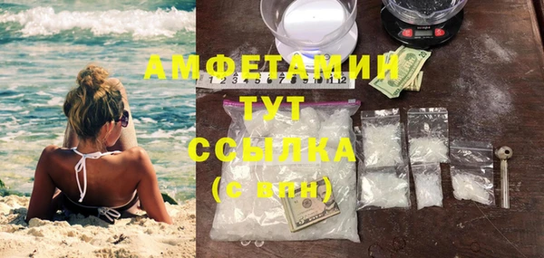 метадон Вяземский