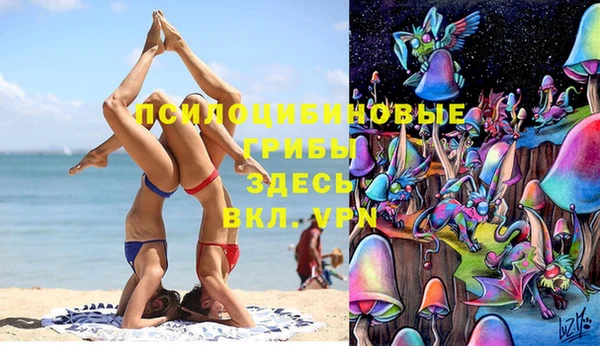 метадон Вяземский