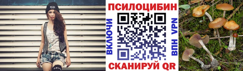 маркетплейс наркотические препараты  Улан-Удэ  Галлюциногенные грибы Psilocybe 